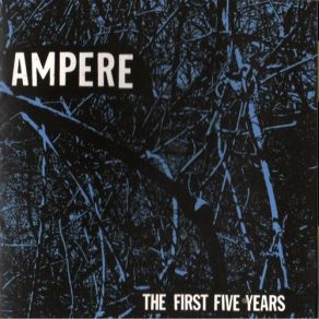 The First Five Years album cover