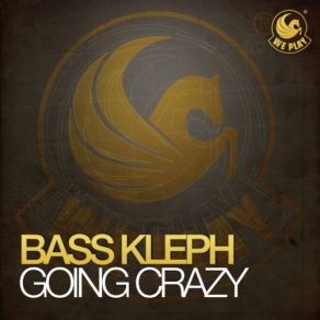 Going Crazy album cover