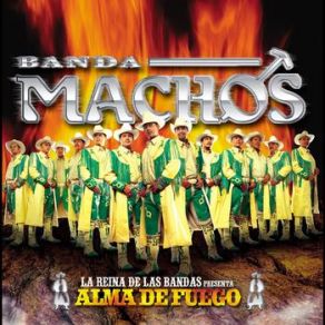 Alma De Fuego album cover