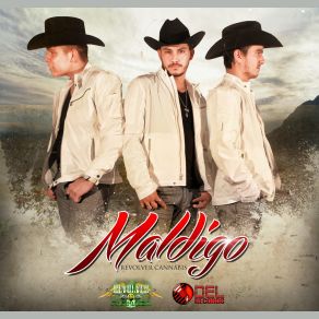 Maldigo (Single) album cover