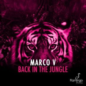 Back In The Jungle (Single) album cover