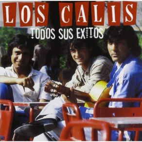 Todos Sus Exitos album cover