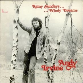 Rainy Sundays... Windy Dreams album cover