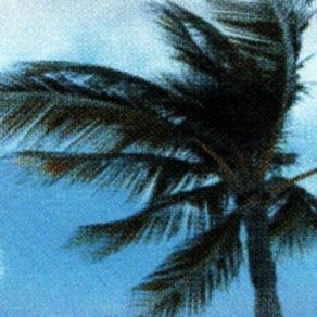 Where The Boys Are album cover