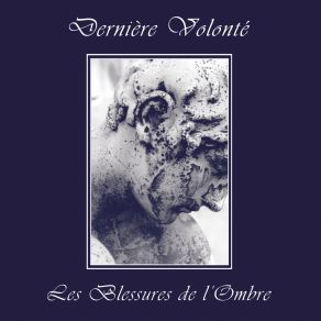 Les Blessures De L'Ombre album cover