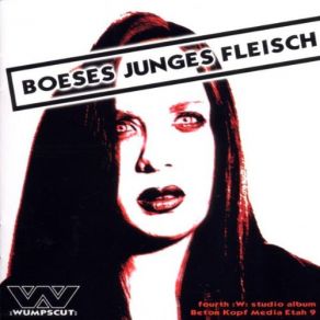 Böses Junges Fleisch album cover