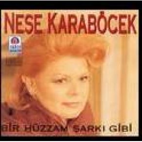 Bir Hüzzam Şarkı Gibi album cover