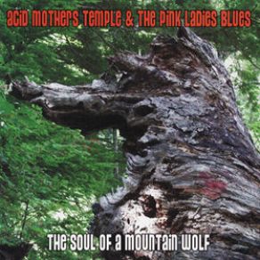 The Soul Of A Mountain Wolf album cover
