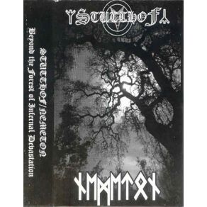 BEYOND THE FOREST OF INFERNAL DEVASTATION album cover