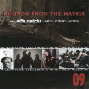 Sounds From The Matrix 12 album cover