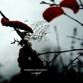 Sonnambula album cover