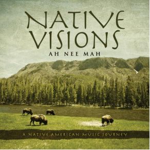 Native Visions: A Native American Music Journey album cover