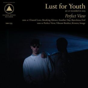 Perfect View album cover