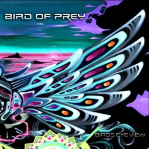 Birds Eye View album cover