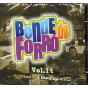 Vol. 14 Ao Vivo Em Guarapari-ES album cover