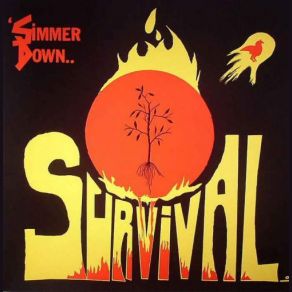 Simmer Down album cover