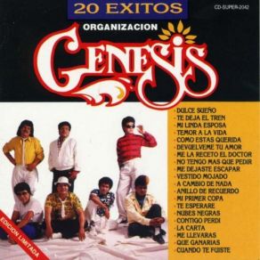 20 Exitos album cover