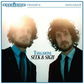Seek And Sigh album cover