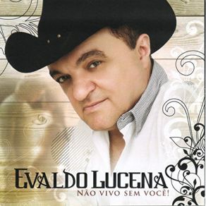 Não Vivo Sem Você album cover