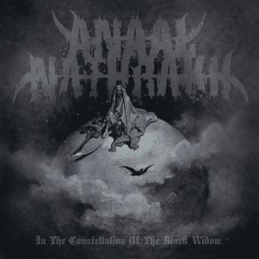 In The Constellation Of The Black Widow album cover
