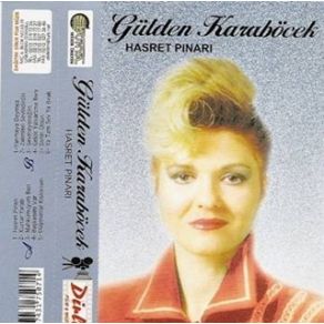Hasret Pınarı album cover