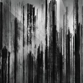 Vertikal album cover