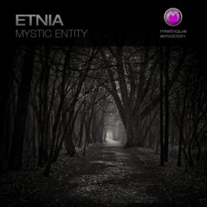 Mystic Entity album cover