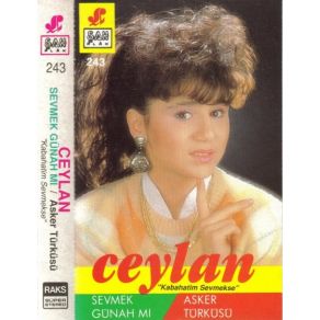 Sevmek Günahmı & Asker Türküsü album cover