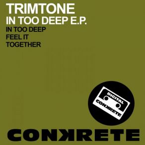 In Too Deep album cover