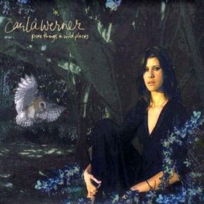 Pure Things In Wild Places album cover