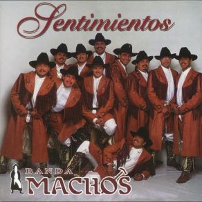 Sentimientos album cover