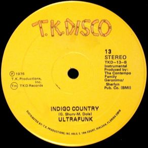 Gotham City Boogie Indigo Country album cover