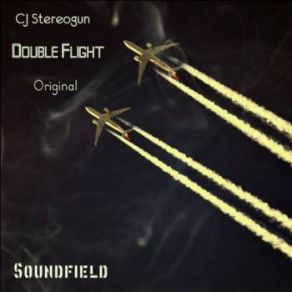 Double Flight album cover