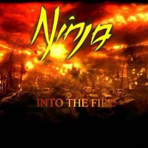 Into The Fire album cover