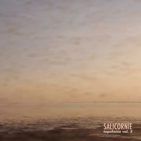 Salicornie: Topofonie Vol 2 album cover