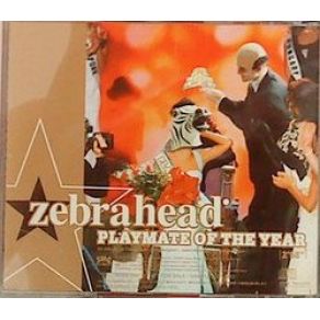 Playmate Of The Year (Japan, Single) album cover