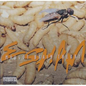 Maggot Brain Theory album cover