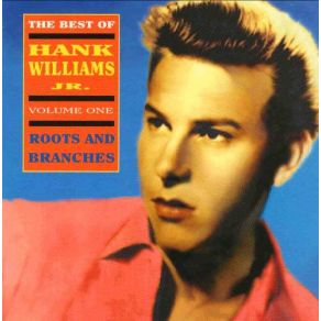 The Best Of Hank Williams, Jr. Vol. 1: Roots And Branches album cover