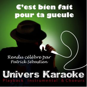 C'Est Bien Fait Pour Ta Gueule (Single) album cover