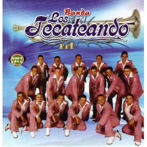 Exitos Con Banda Y Tololoche album cover