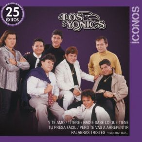 Iconos: 25 Exitos (CD2) album cover