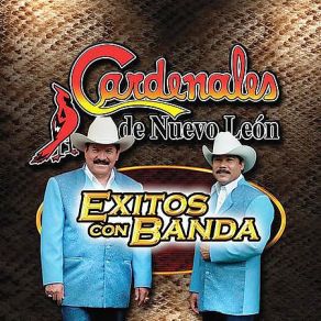 15 Exitos Con Banda album cover