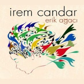 Erik Ağacı album cover