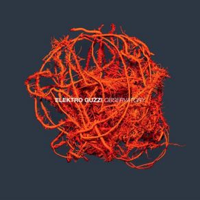 Observatory album cover