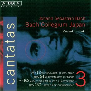 Complete Cantatas (1.3) album cover