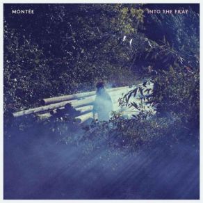 Into The Fray album cover