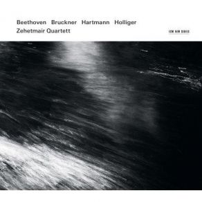 Beethoven, Bruckner, Hartmann, Holliger (CD2) album cover