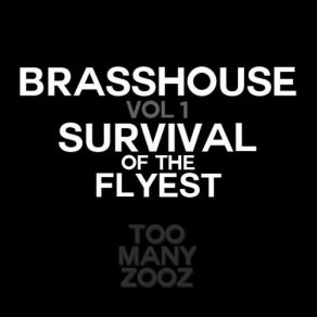 Brasshouse Volume 1; Survival Of The Flyest album cover