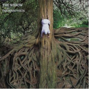 The Widow album cover