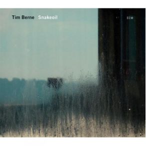 Snakeoil album cover